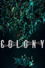 Colony Af Somali